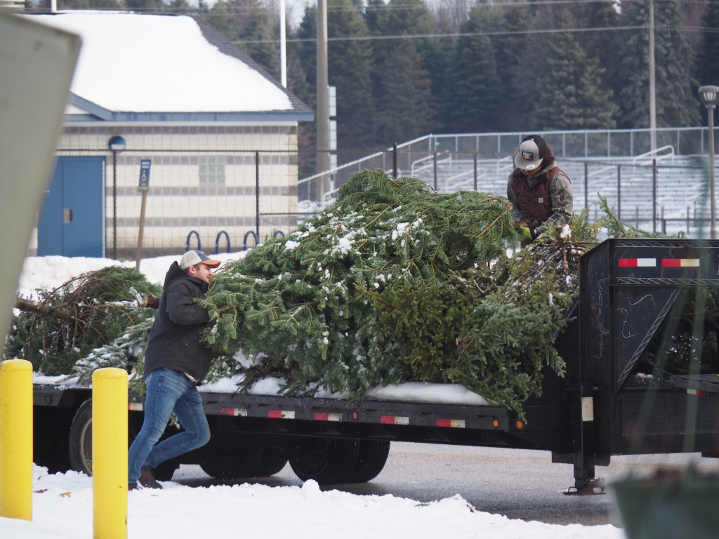 Montague FFA members collect Christmas trees from community members after the holiday season. 