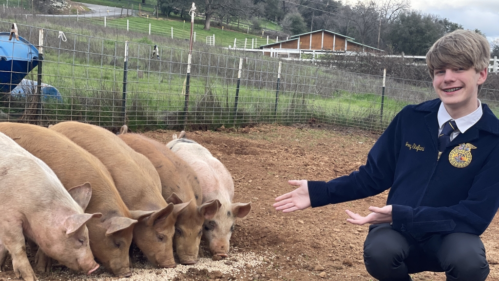 Joseph Stefani stands next to the five pigs he raised to produce high-quality food for members of his community. Photo courtesy of Joseph Stefani.