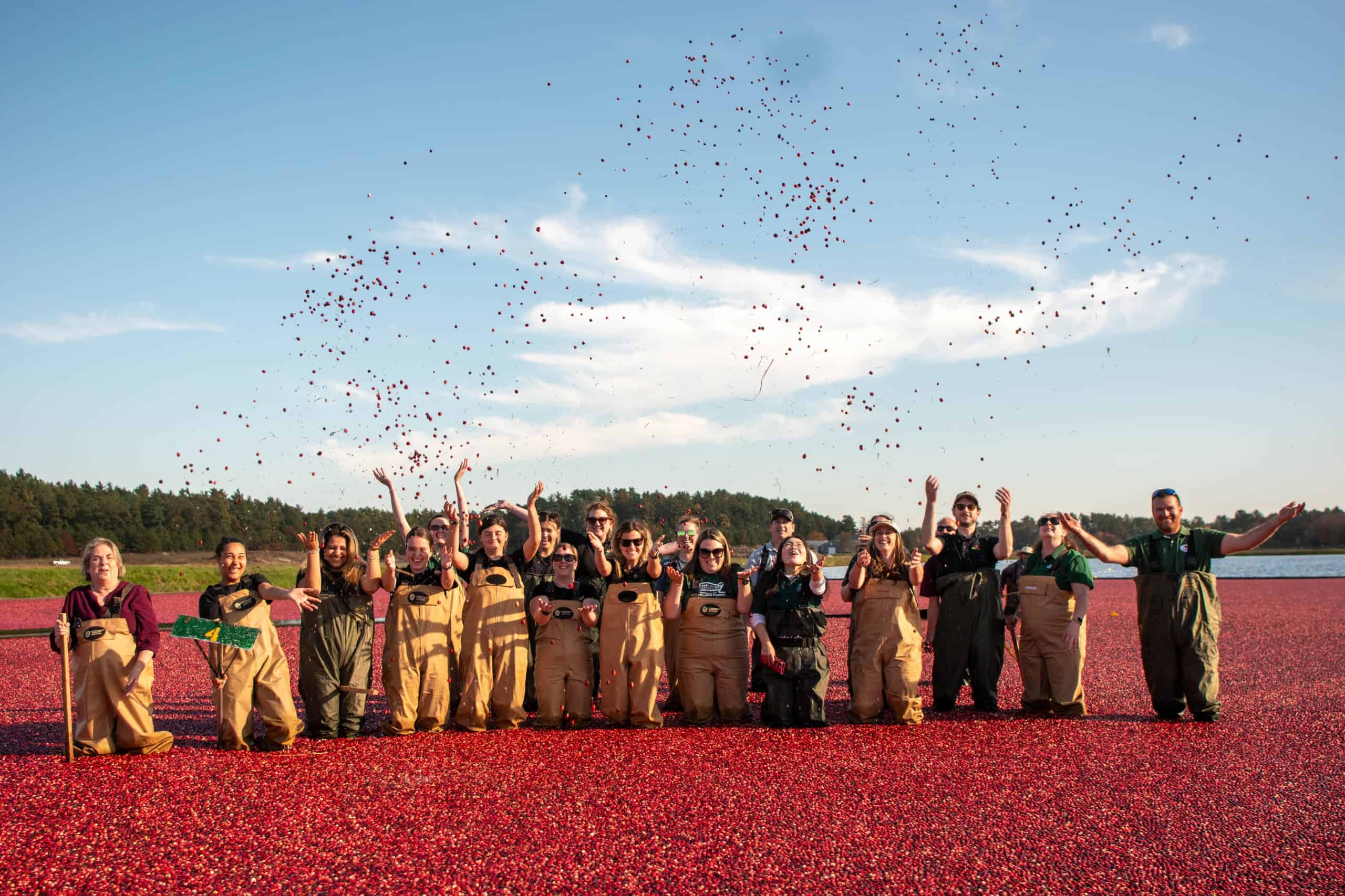 Cranberry Kickoff with the Massachusetts Department of Agriculture in October. Photo by the Massachusetts Department of Agricultural Resources.