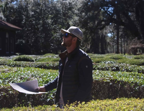 Landscaping a Legacy: FFA Alum Turns Passion into Profit