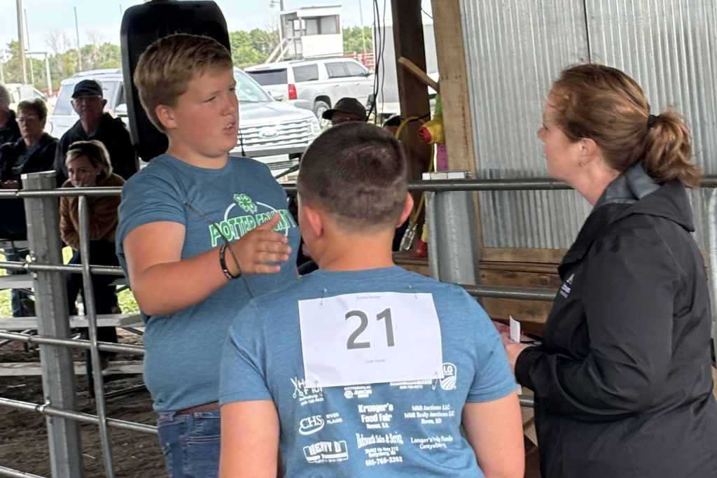 Pig Project participants Liam Lehman and Louie Fischer answer the judge’s questions during the showmanship round at the Potter County Fair.