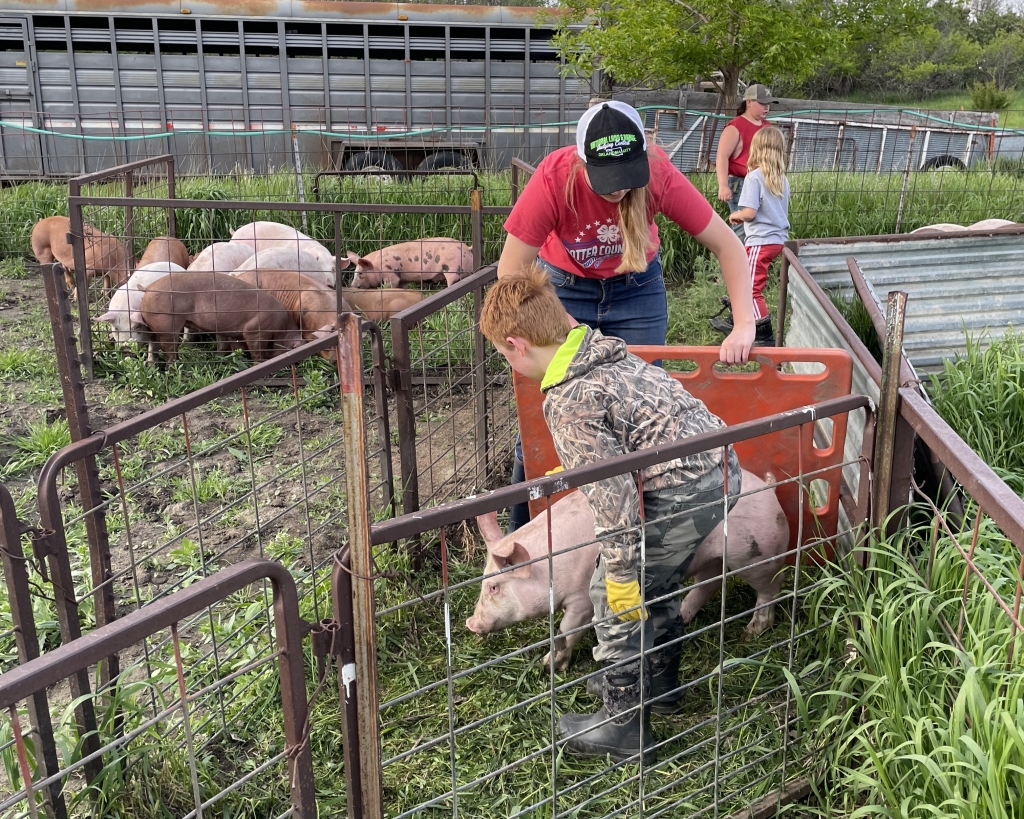 Gettysburg FFA member Bobbi Edie blocks the alleyway for Pig Project participant Thomas Penrod.