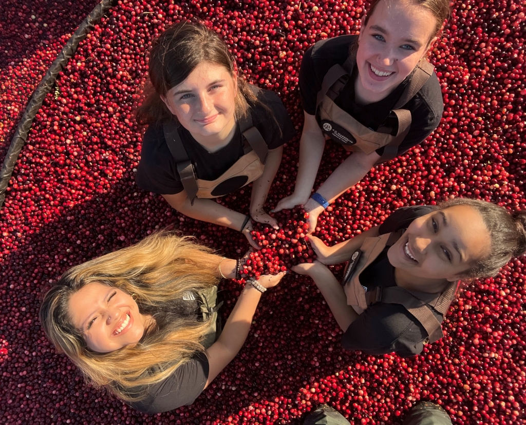 Massachusetts Agricultural Youth Council members include Carolinne Rodriguez, Colleen Kielbania (an Essex FFA member), Michaela Jardine-Yeats and Amanda Cooper. Photo by the Cranberry Kickoff with the Massachusetts Department of Agriculture in October.