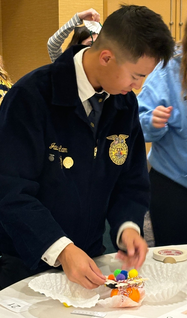 AAEC-EM FFA member Jaden Lam creates a parachute to drop with the micro:bit inside.