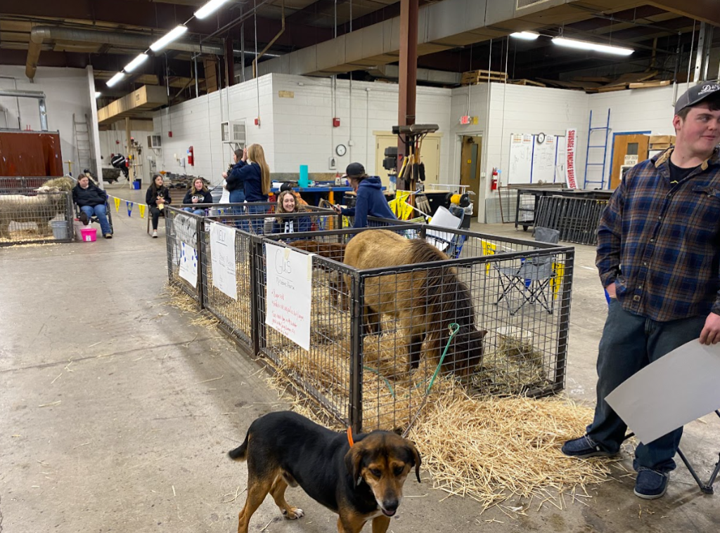 The Olney FFA Chapter’s petting zoo consists of livestock from members’ homes. This is the entrance view of the 2024 petting zoo.