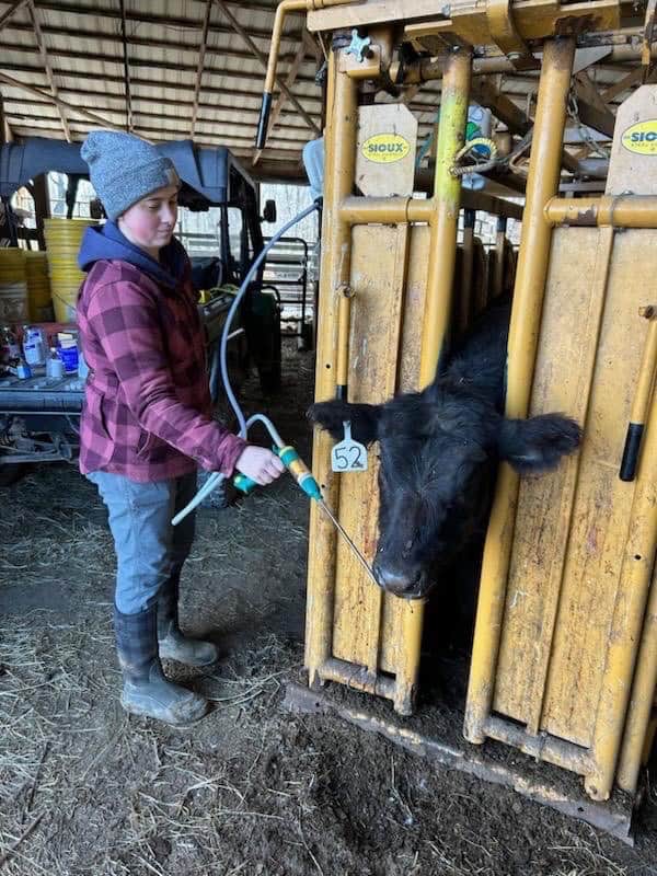 Sloan's SAE involves producing and marketing a mix of livestock and crops.