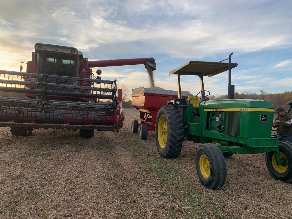 Louie Wesley empties a combine while harvesting soybeans.