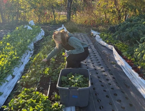 Cultivating for Her Community